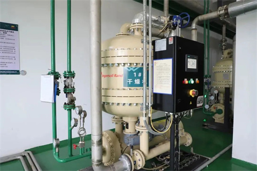 20250306587968.jpg 益海嘉里一級能效空壓站亮相 每年可為企業(yè)節(jié)約300萬度以上電(圖2)