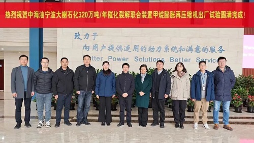 中船集團(tuán)七一一研究所為中海油大榭石化開(kāi)發(fā)設(shè)計(jì)的膨脹壓縮機(jī)組成(圖1)