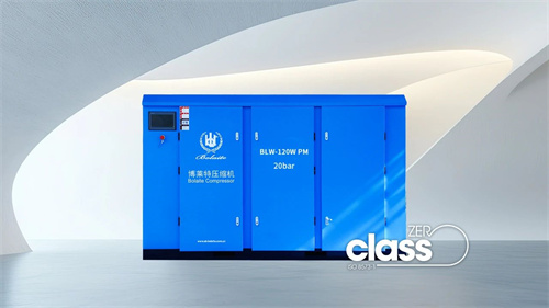 20250407431391.jpg 博萊特BLW無油中壓系列的獨(dú)特魅力是什么?(圖2)