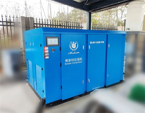 20250407644348.jpg 博萊特BLW無油中壓系列的獨(dú)特魅力是什么?(圖3)