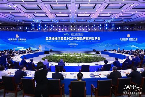 20250513988515.jpg 沈鼓榮獲“中國(guó)品牌優(yōu)秀典型案例”榮譽(yù)(圖3)