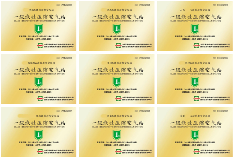 空壓機(jī)行業(yè)龍頭企業(yè)東亞機(jī)械獲一級(jí)能效認(rèn)證(圖1)