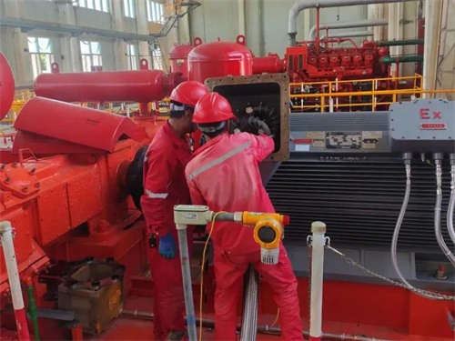 長城鉆探蘇里格氣田分公司蘇10(圖2)