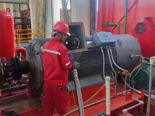 長城鉆探蘇里格氣田分公司蘇10(圖4)