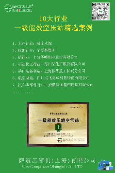 十大行業(yè)標(biāo)桿客戶案例 薩震壓縮機(jī)(上海)有限公司(圖1)