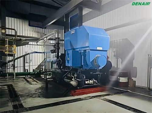 20251114351990.jpg 德耐爾兩臺(tái)DAC200離心壓縮機(jī)(圖2)